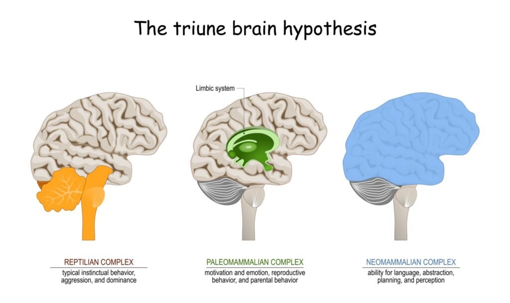 triune brain hypothesis